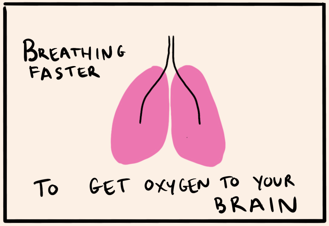 Rough GIF of lungs breathing